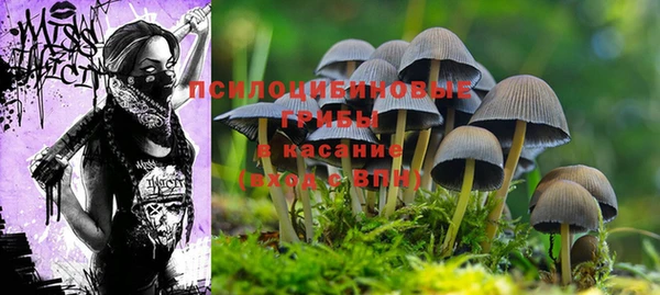 мефедрон Алексеевка